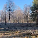 Teichblick