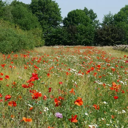 Апартаменты Teichblick Trebel