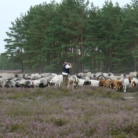 Апартаменты Teichblick Trebel