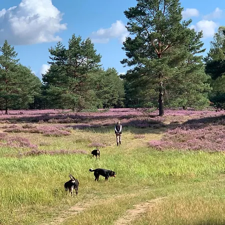 Апартаменты Teichblick *