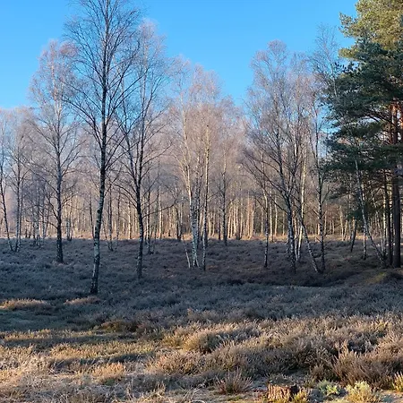 Апартаменты Teichblick Trebel