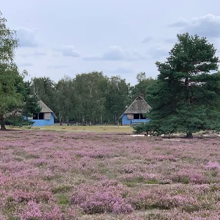 Teichblick * Trebel