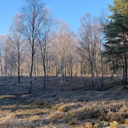 Teichblick