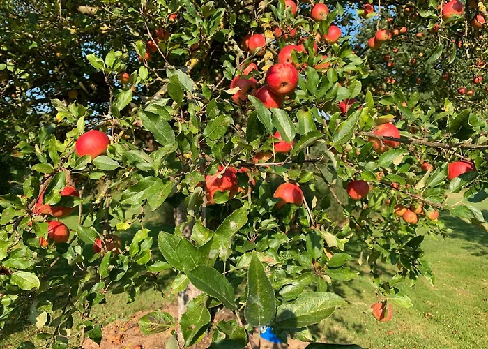 Teichblick Lägenhet *