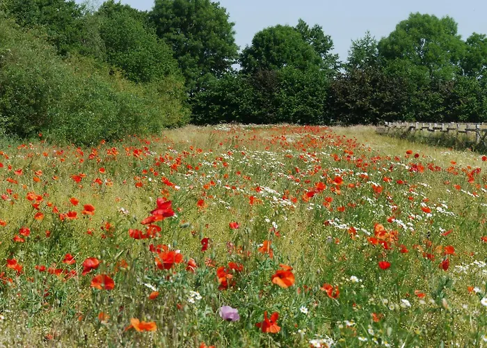 Lägenhet Teichblick Trebel