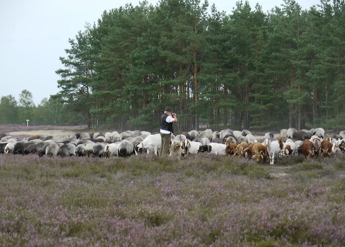 Lägenhet Teichblick Trebel