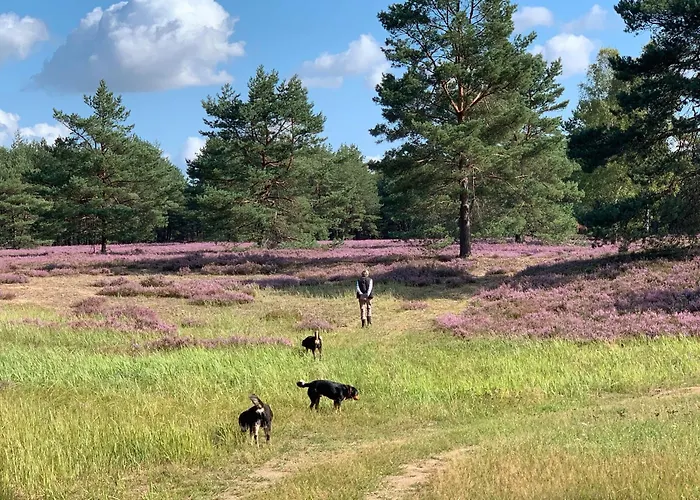 Lägenhet Teichblick *