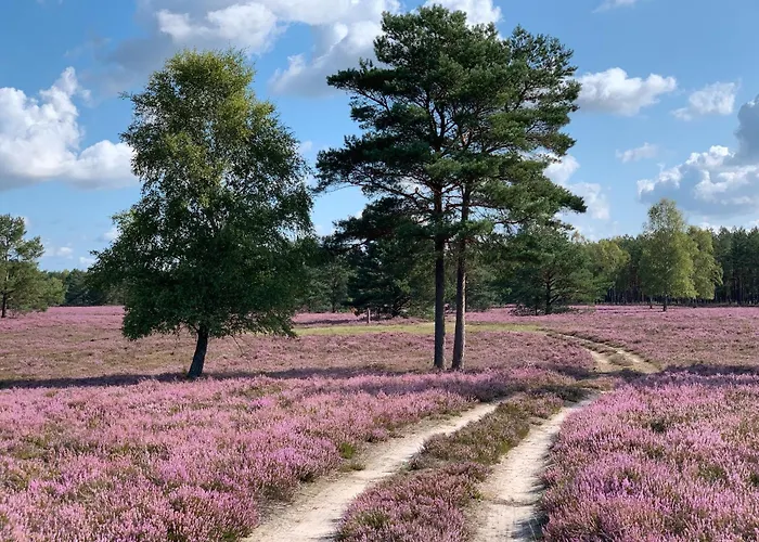 Teichblick Lägenhet