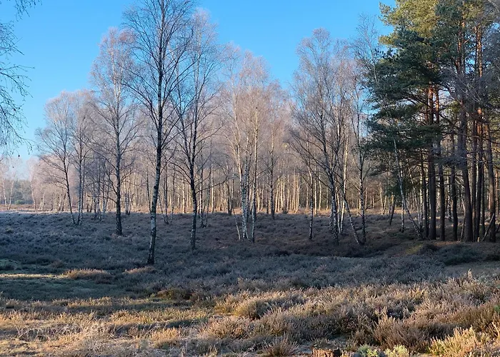 Lägenhet Teichblick Trebel